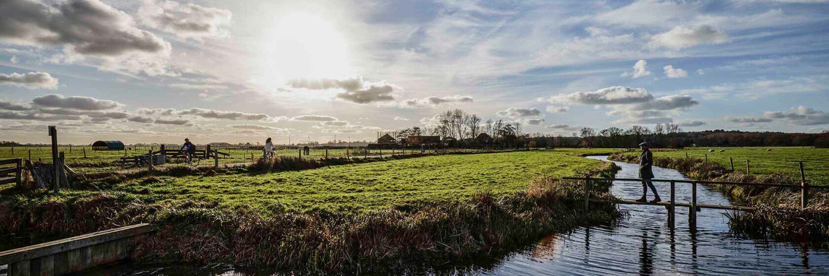Weiland met bruggetje en wandelaar met water, blauwe lucht en zonnetje in Noord Holland
