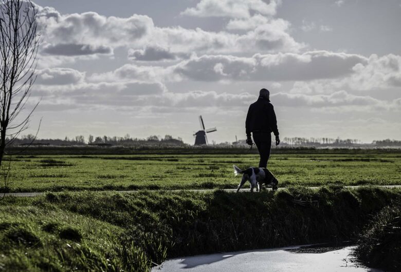 Wandelaar in ommeland Noord-Holland