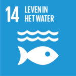 SDG 14 Leven in het water