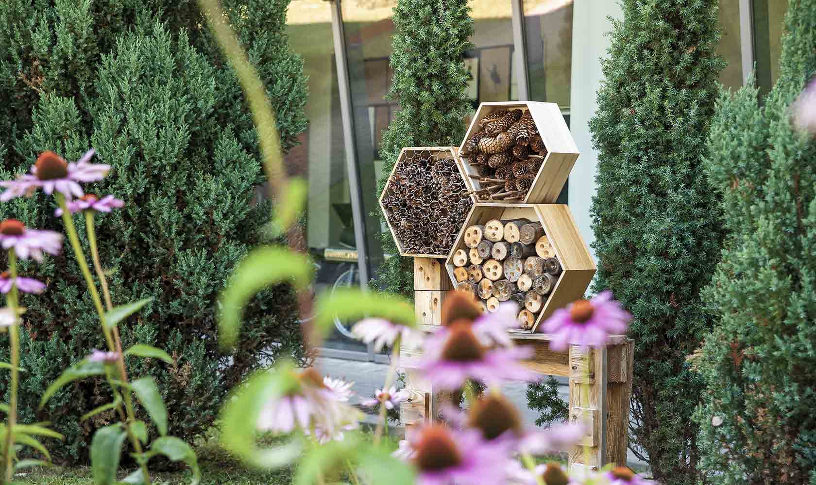 Insectenhotel in tuin met beplanting en bloemen