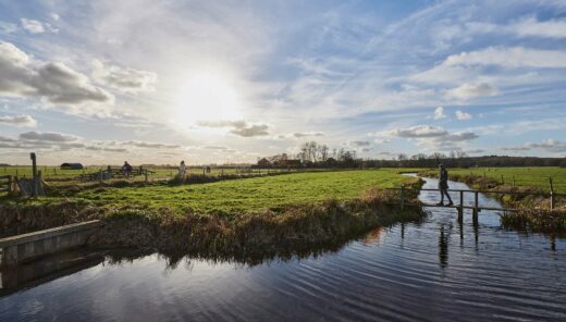 Weiland met bruggetje en water met blauwe lucht, zon en wat wolken