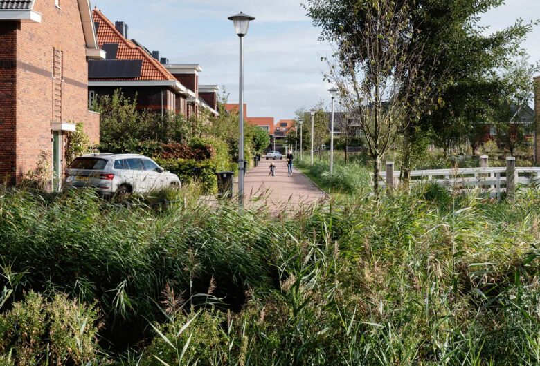 Op de voorgrond een rietkraag waarachter je een groenrijke woonwijk ziet met bruggetje.