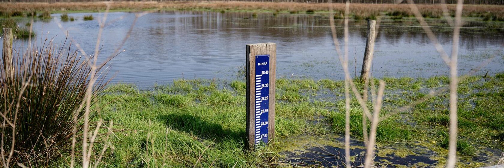 NAP peilstok bij water in Limburg