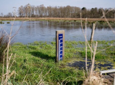 NAP peilstok bij water in Limburg