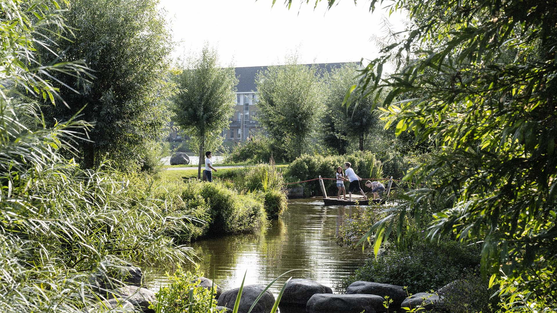 Groen natuurgebied met water centraal, op de achtergrond een gebouw