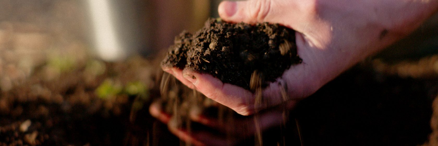 Gezonde bodem voor grotere biodiversiteit - Pauline Maas senior adviseur ecologie