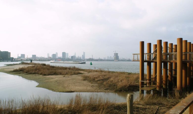 Rivier met krib op voorgrond en stad op achtergrond