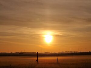 Onderzoek biodiversiteit bij zonnepark A5