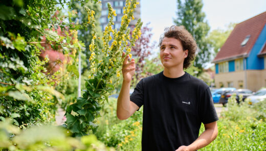 Olaf Streng ecologie