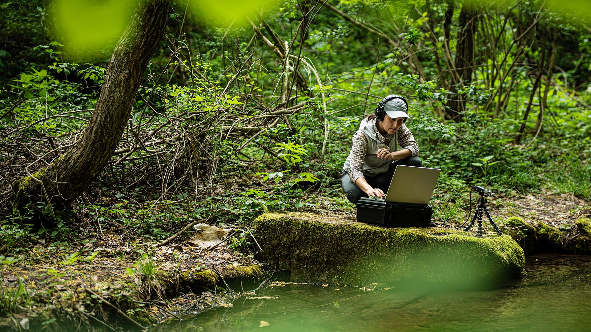man in groen bos bij rivier met laptop