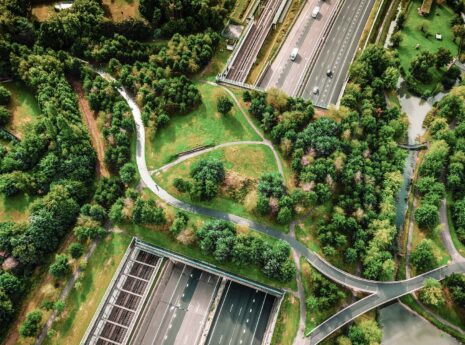 snelweg met auto's met daarover een breed viaduct met een groen park erop