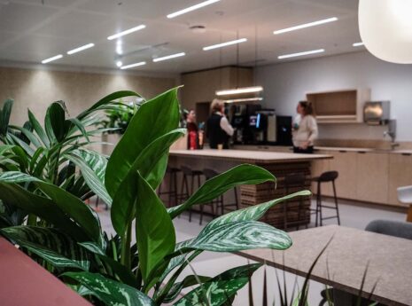 Pantry op kantoor met mensen en groene planten op voorgrond