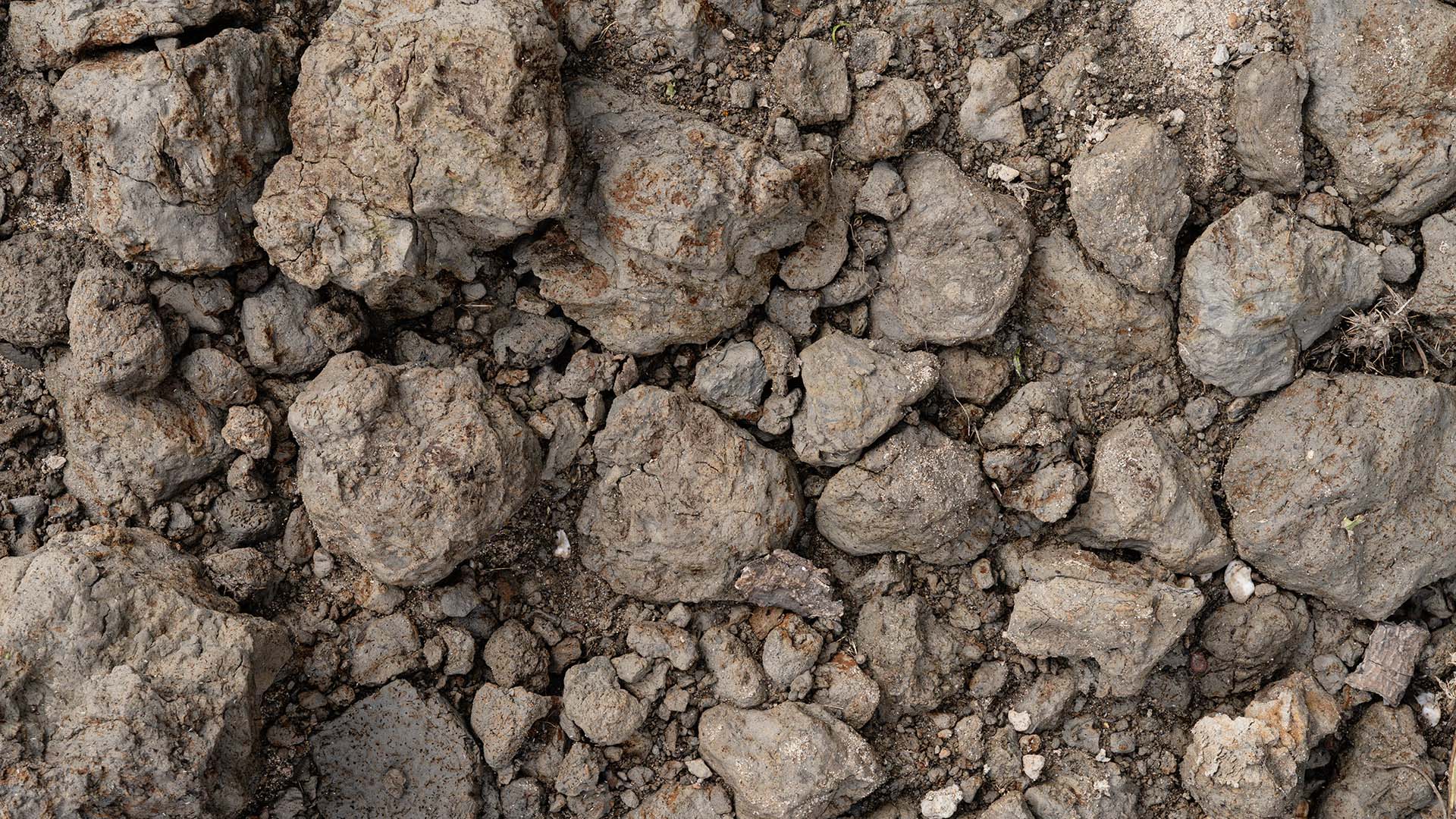 Detailfoto van grond en stenen.