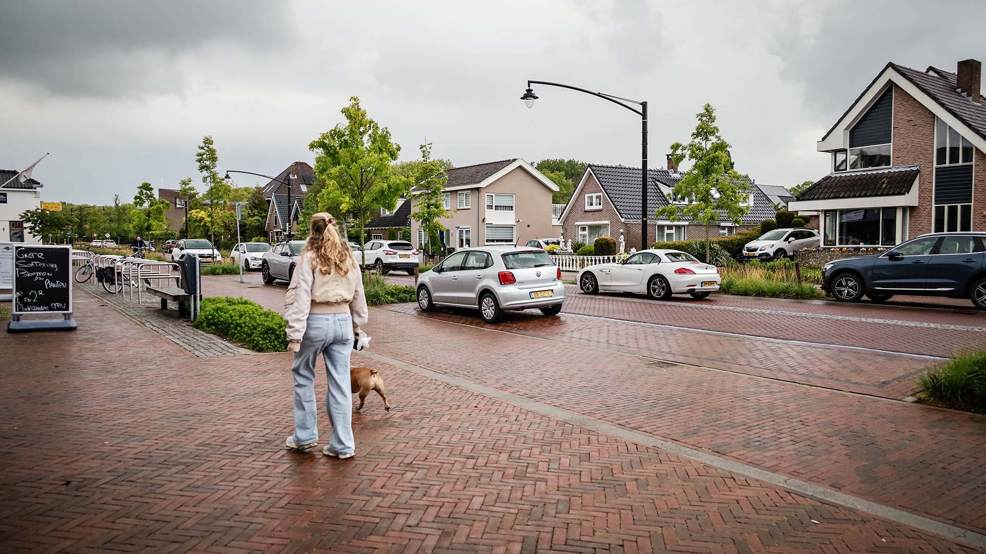 Straatparkeren auto's in woonwijk met voetganger die hond uitlaat op voorgrond