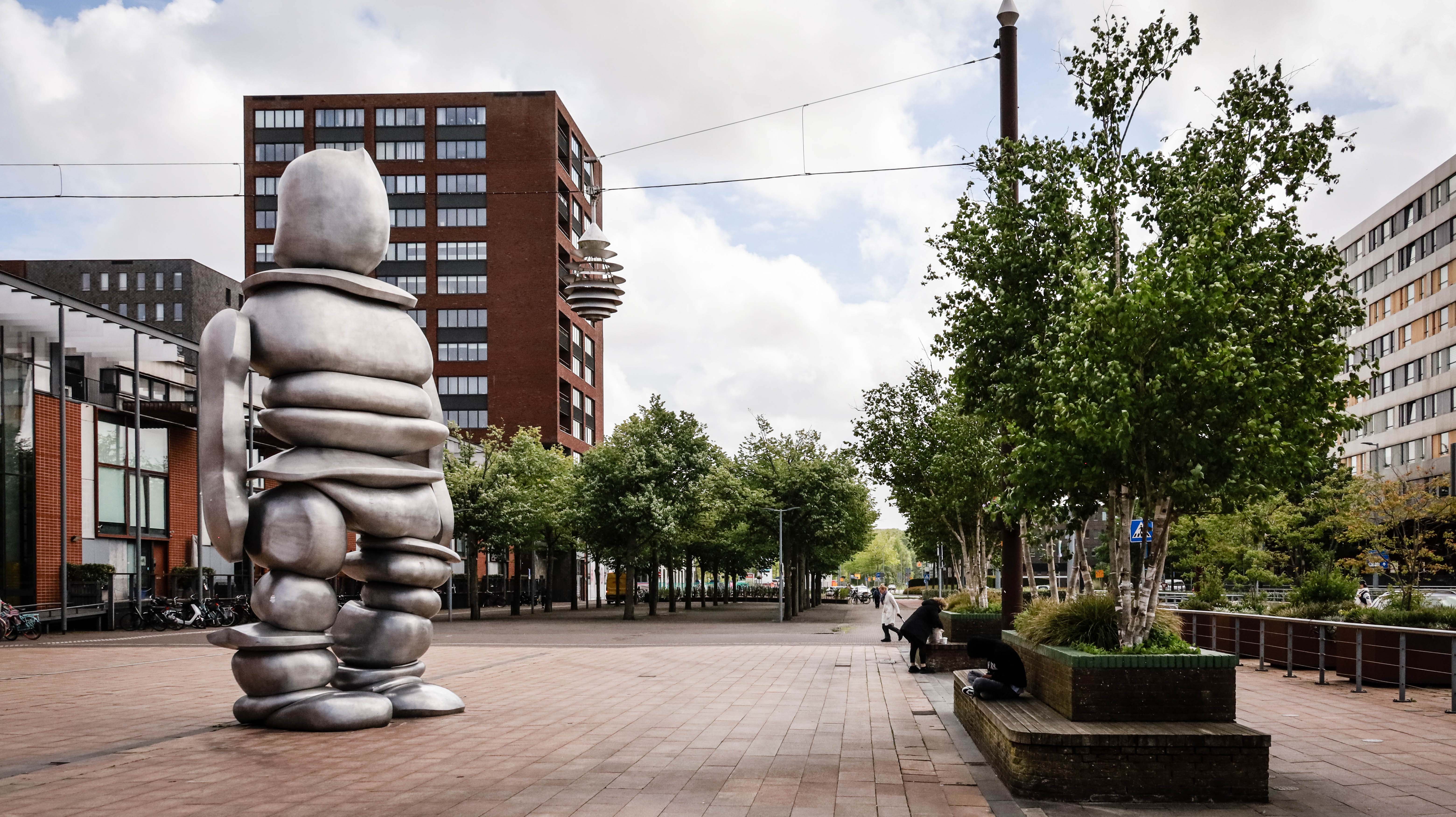 Beeld gemaakt van grote kiezelstenen op groen plein met gebouwen er om heen.