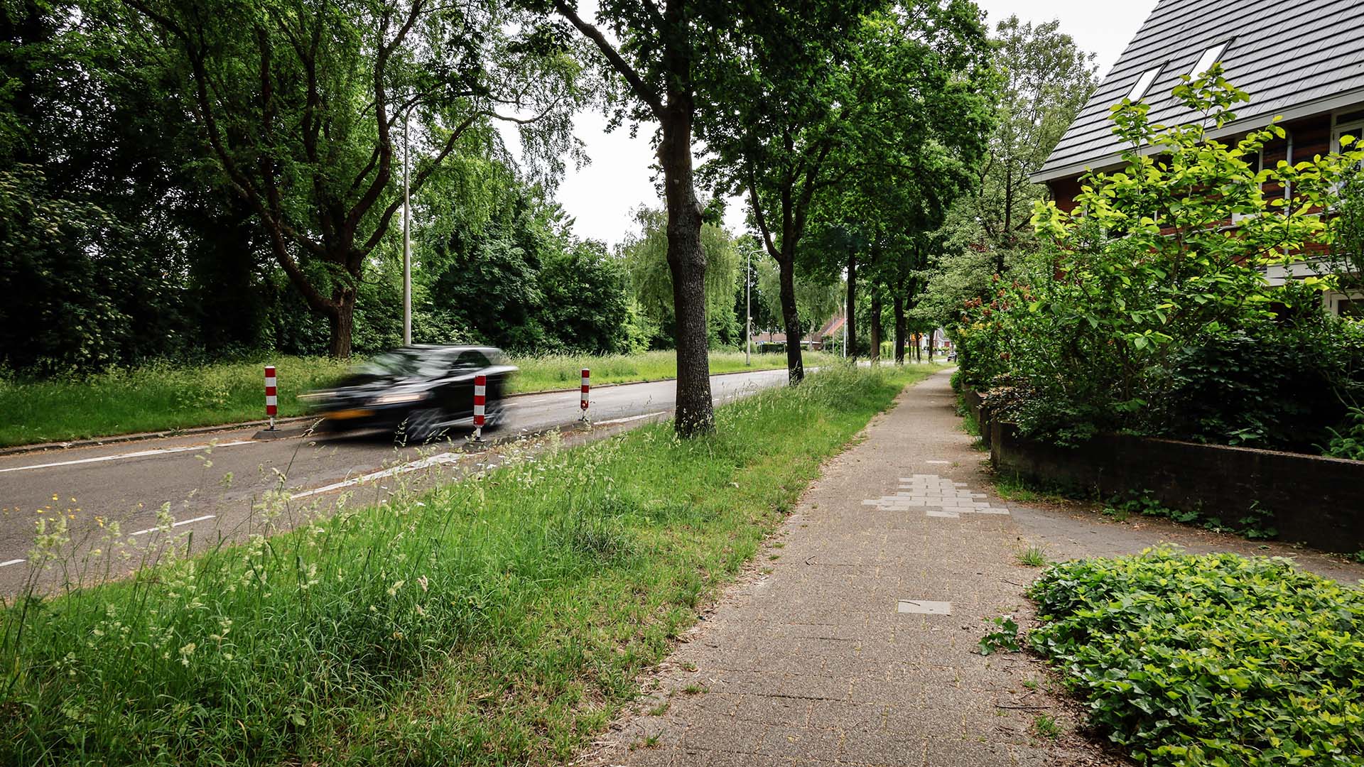Weg met auto langs groenstrook met voetpad en huizen