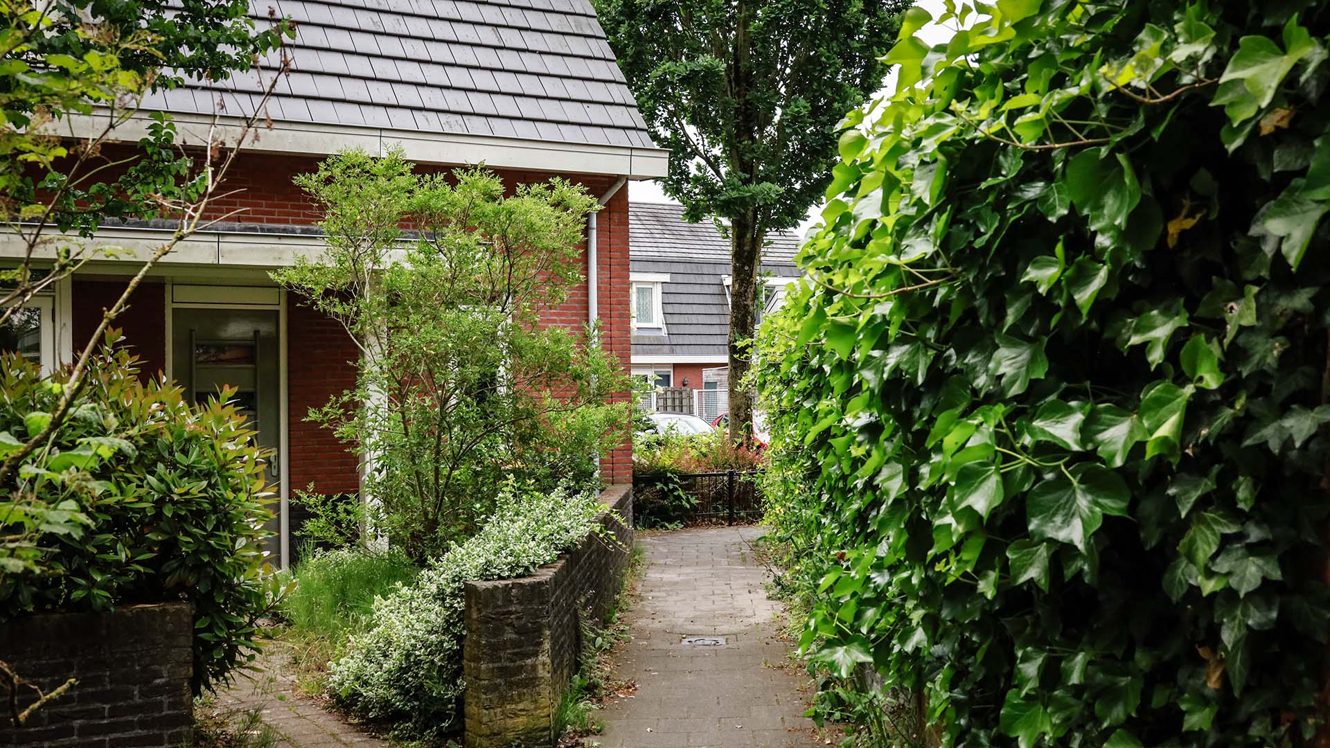 Voorkant huis in groene omgeving met voetpad er langs