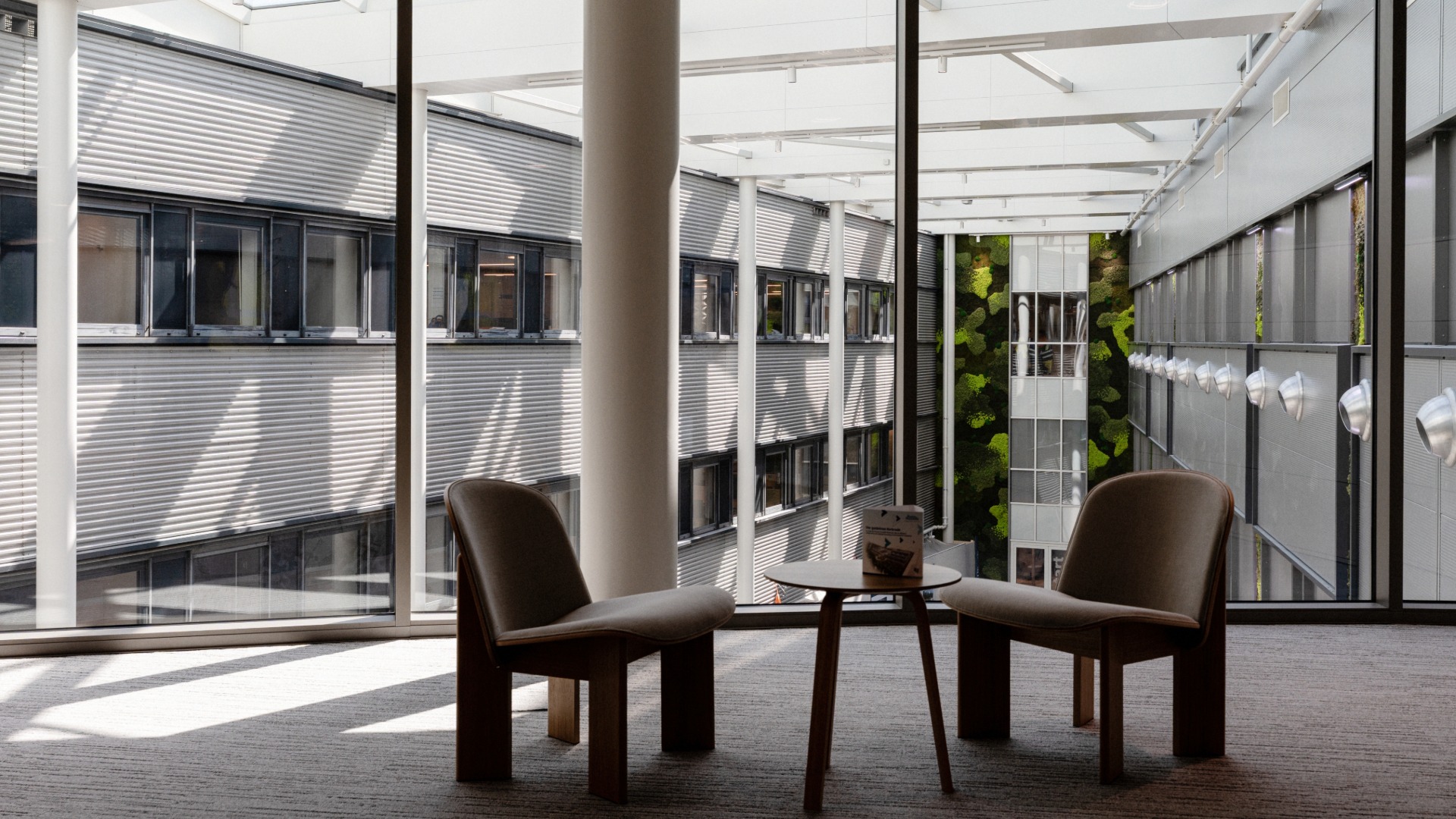 Open campusinterieur met comfortabele zitplaatsen, groene elementen en een lichte architectuur.